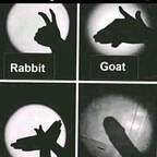 u31839842 OnlyFans Leaked 

 profile picture