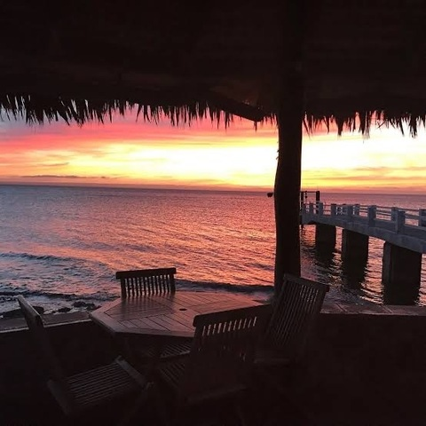 Header of u318853787