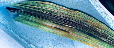 Header of u323936549