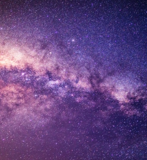 Header of u326611788