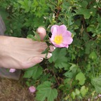 Free access to u327184736 Leak OnlyFans 

 profile picture