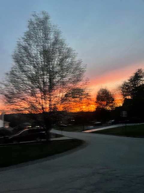 Header of u332400312