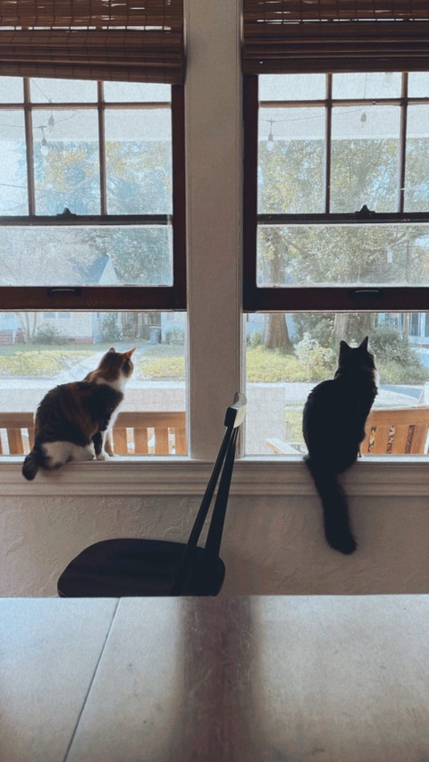 Header of u337841033