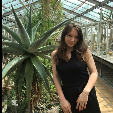 Header of u343863185