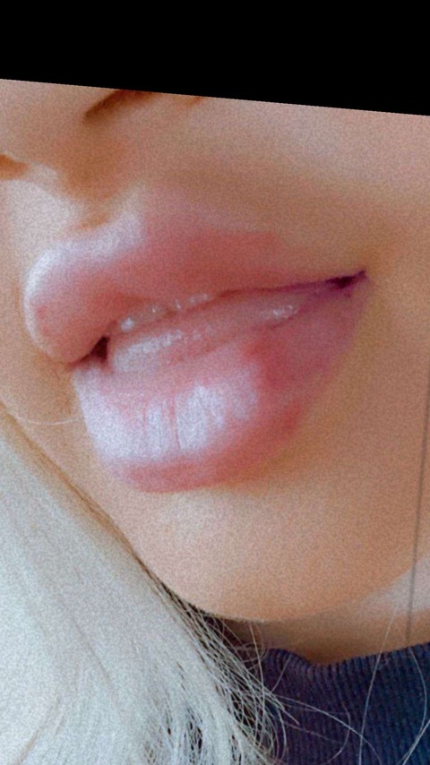 Header of u351672628