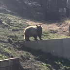 Download u45813725 OnlyFans content for free 

 profile picture