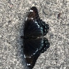 Onlyfans leaked u47815482 

 profile picture