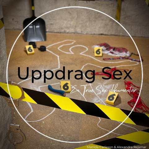 Header of uppdragsex