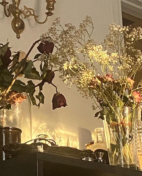 Header of ursecretgarden