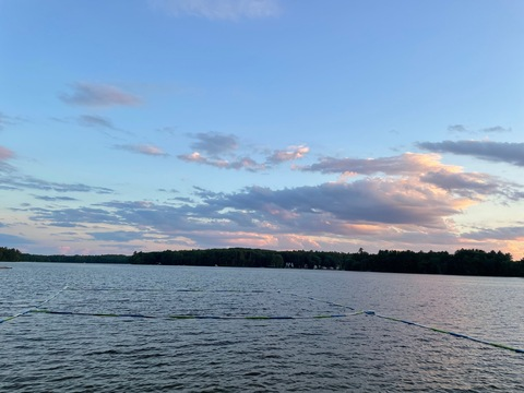 Header of vanessaarosee97