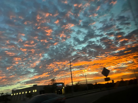 Header of vanessalynn225