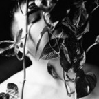 verslikeversace OnlyFans Leak 

 profile picture