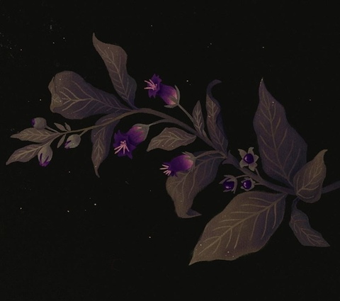 Header of vintagevamp