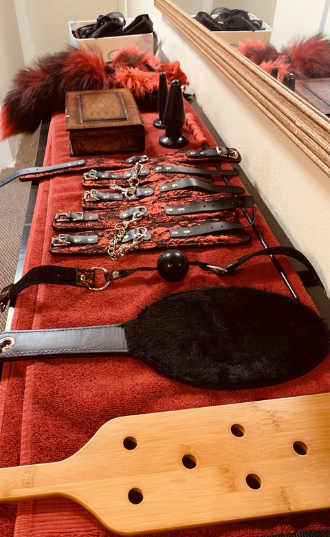 Header of vixensrealm