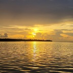 Download waterman112 OnlyFans content for free 

 profile picture