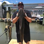 Luis weldfather Leak OnlyFans 

 profile picture