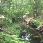 wellhungblack123 (Devin Vine) OnlyFans Leaked Content 

 profile picture