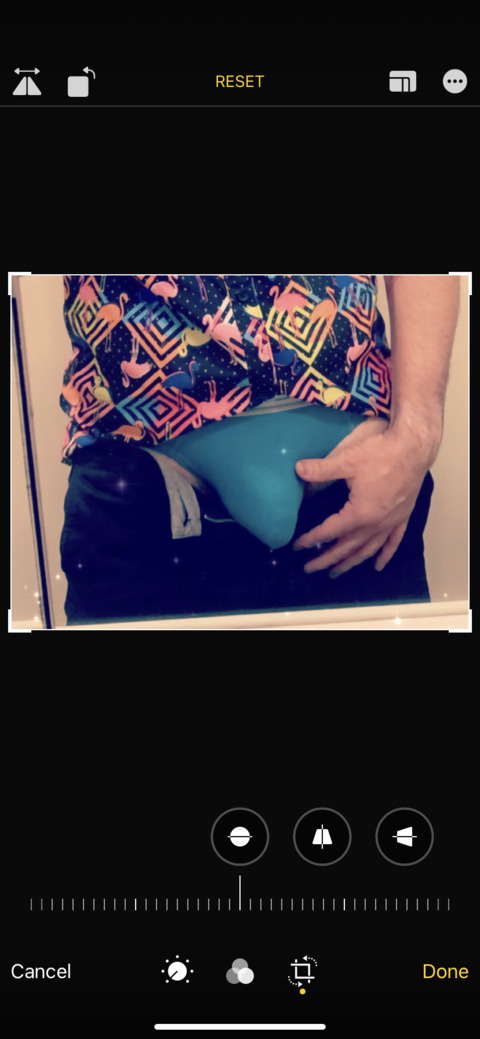 Header of whatchaknow