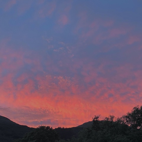 Header of whiskylefia