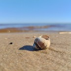 heiki whispertomee Leaks OnlyFans 

 profile picture