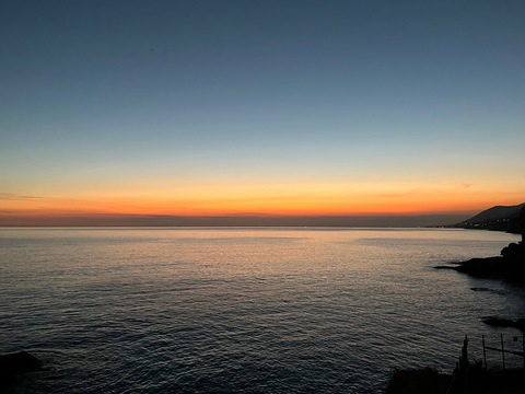 Header of whoisniinaa