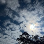 whoriiietoriiie (słütgårdën) free OnlyFans content 

 profile picture