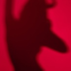 whywhynotty (Why Not? Live a Little) OnlyFans Leaked Videos and Pictures 

 profile picture