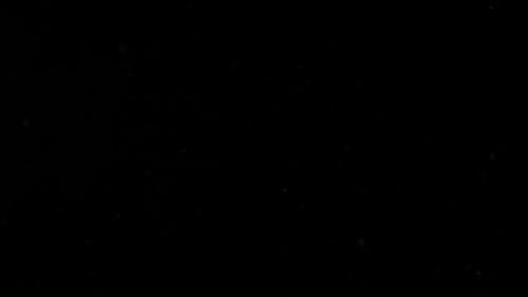 Header of wickthabandit