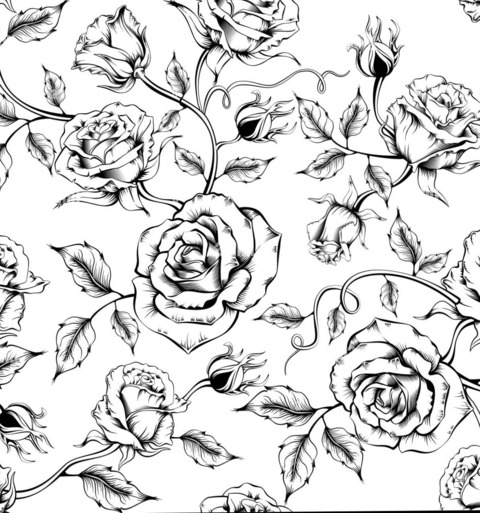 Header of wildrosexxx