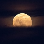 witchidarrln101 (Witchiiidarrln) free OnlyFans Leaked Videos and Pictures 

 profile picture