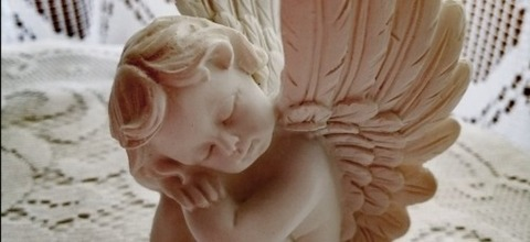 Header of xaninha_1997