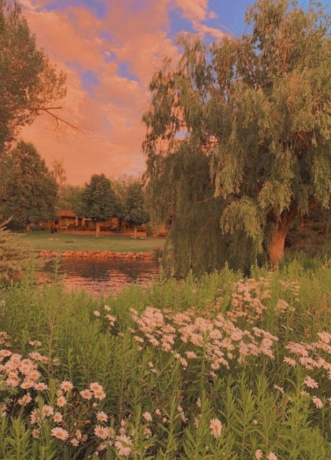 Header of xo_madeline_bliss