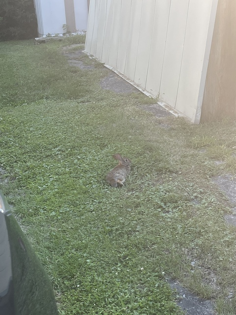 Header of xopeachypinkxo