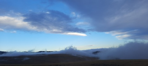 Header of xoxohoneybunsxoxo