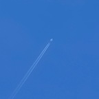 xoxopeachyxoxo OnlyFans Leaked Photos and Videos 

 profile picture