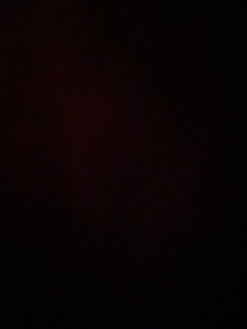 Header of yamikitty08