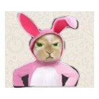 yanela OnlyFans Leaks 

 profile picture