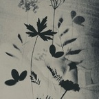 yesimlonely66 OnlyFans Leak 

 profile picture