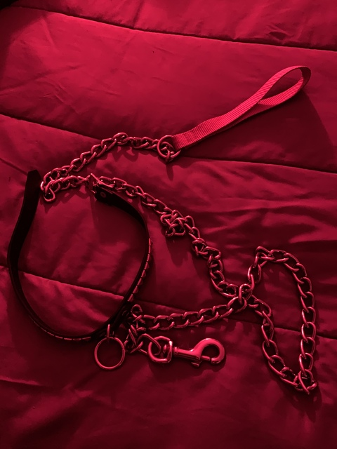 Header of youlovelava