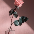 Download yourbestfantasybaby OnlyFans leaks for free 

 profile picture