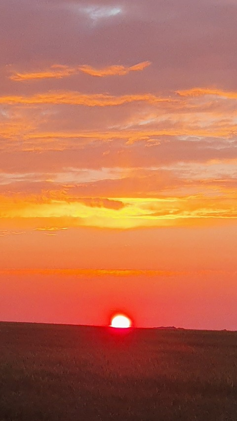 Header of yourguynoah