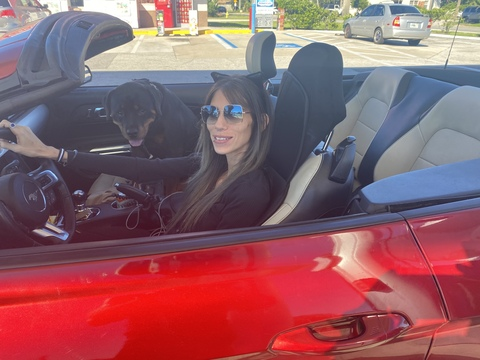 Header of yourworstdream88