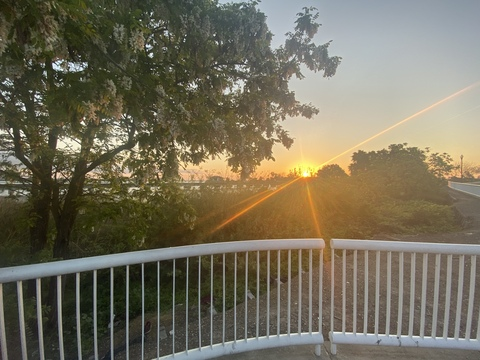 Header of zaddiebabby