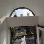 zaraasfeet (Zara) OnlyFans Leaked Pictures and Videos 

 profile picture